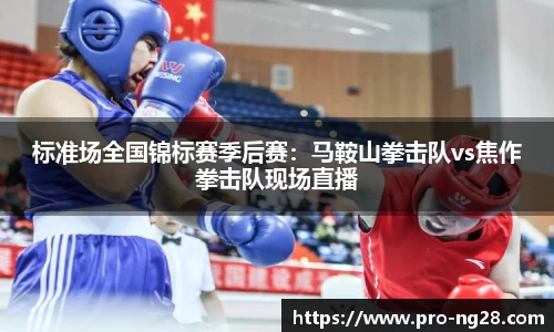 标准场全国锦标赛季后赛:马鞍山拳击队vs焦作拳击队现场直播